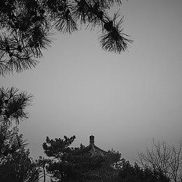 《暗黑4》第二赛季玩家反馈最早第4赛季才会加入游戏中